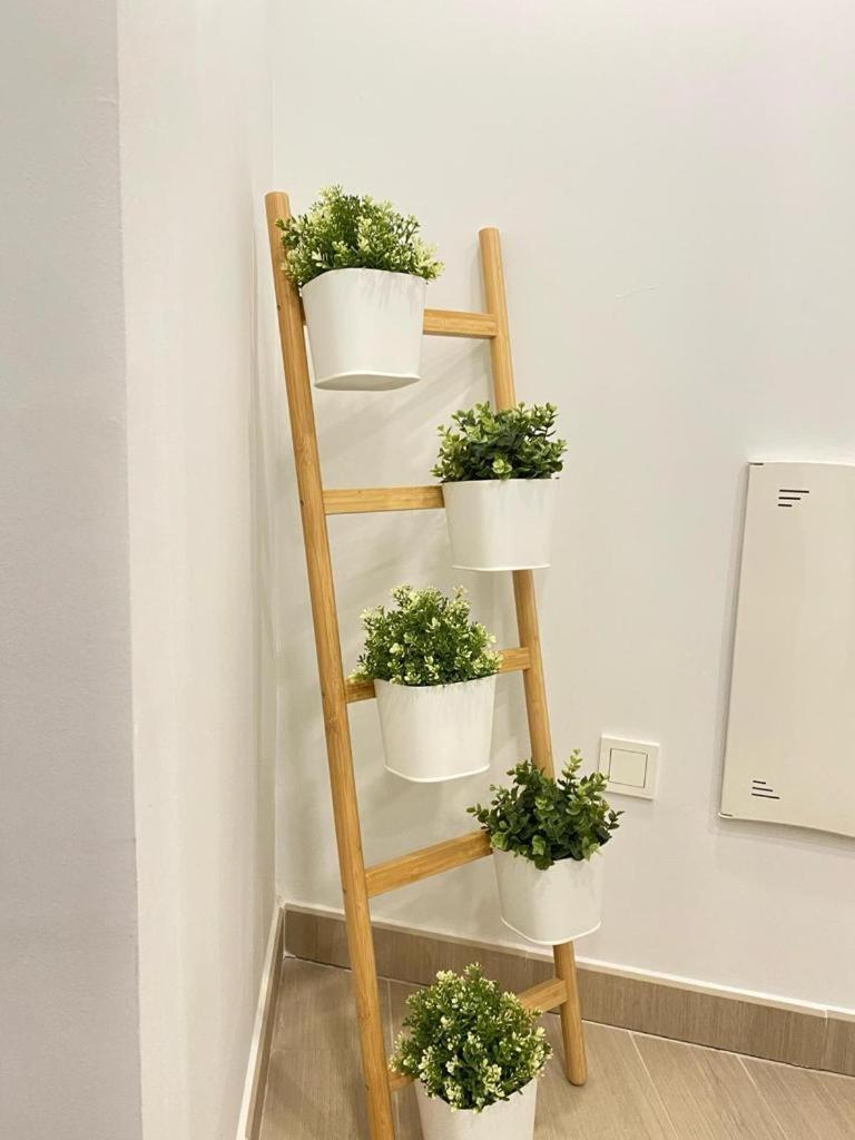 Brisa Puerto Marina Apartments ベナルマデナ エクステリア 写真